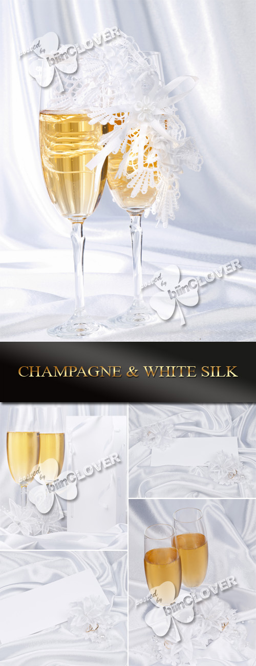 Champagne and white silk 0068