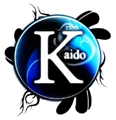 Kaido Player 7.1.36.41 (Русский / Russian)2012