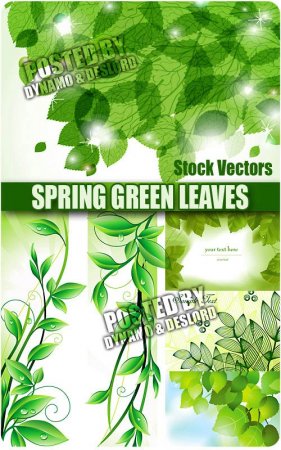 Весенние зеленые листья - Векторный клипарт