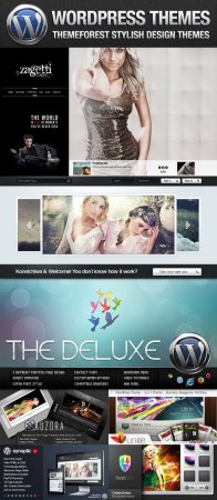 Stylish Design WordPress Themes