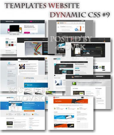 Templates Website Dynamic CSS #9