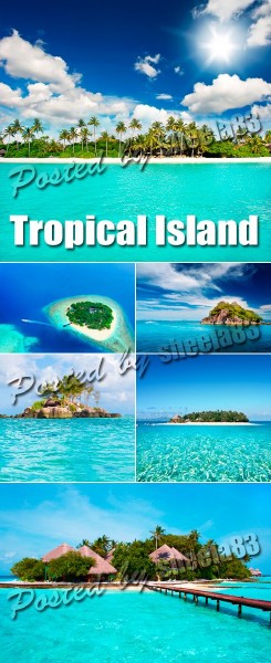 Stock Photo - Tropical Island